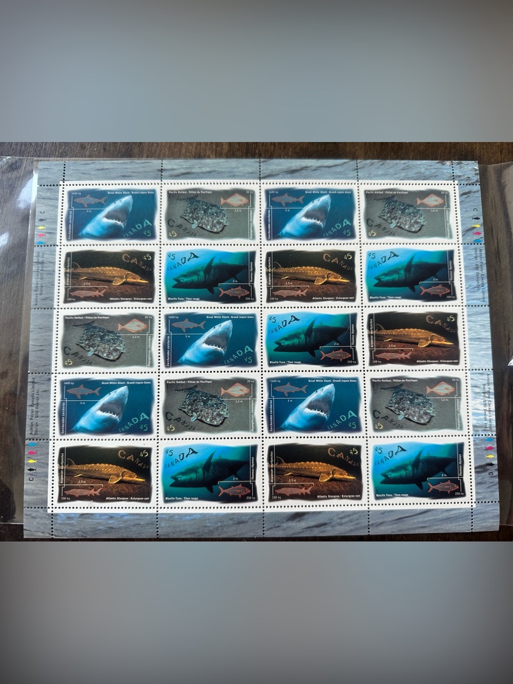 Vintage 1997 Canadian Ocean Water Fish & Shark Stamp sheet 45 x 20 mint
